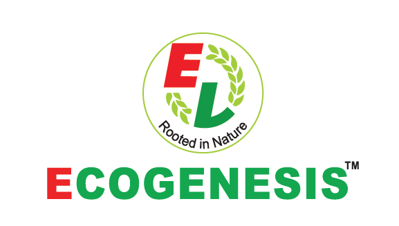 client creative marketing